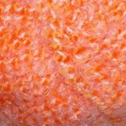 036 абрикос